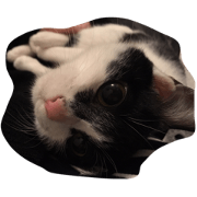 Uuu