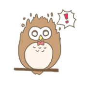 Owl senior