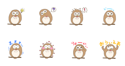 Owl senior