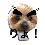 jackyANDmaron