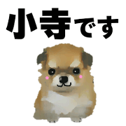 Name Sticker for Sekitani or Kodera