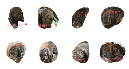 chocola's word