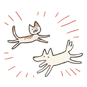old cat xiang nian & white dog xiao bai2