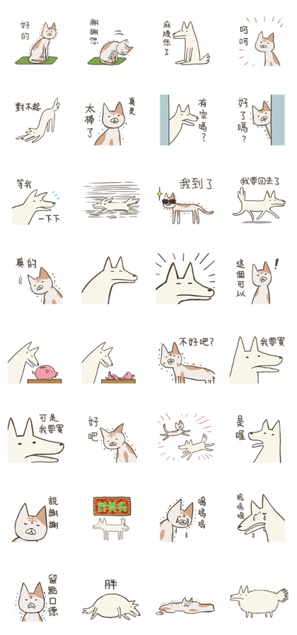 old cat xiang nian & white dog xiao bai2