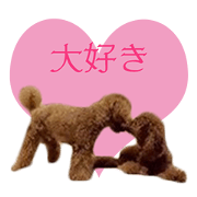 ANKARI'S Sticker