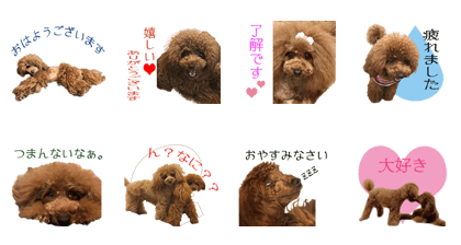 ANKARI'S Sticker