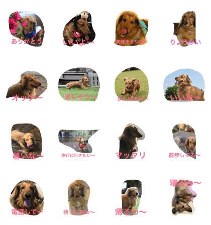 Dachs REN Ver.2