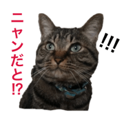 Leo-tan's sticker.