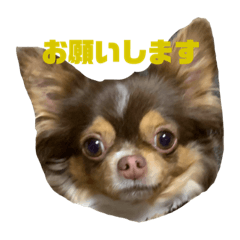 Soocuteguysinmyhouse