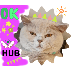 HUB HUB-OK Thank you