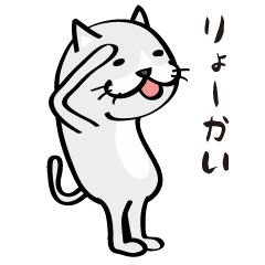 Bicolor cat,white
