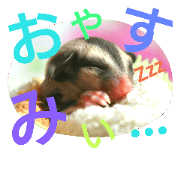 Sugar gliders' usable stamp