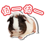 Peter and Pei-Pei