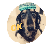 wankoto hitokoma dogs ok STECKER