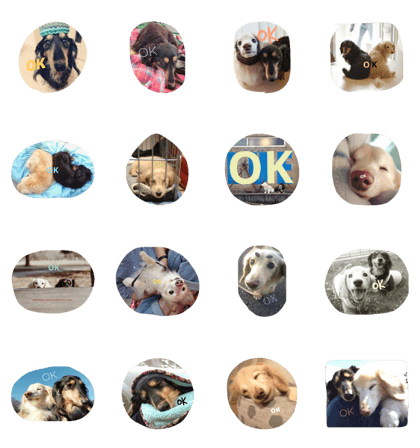 wankoto hitokoma dogs ok STECKER