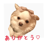 tiwawa rui