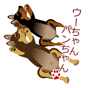 mamepin321*bambi&urara.ver