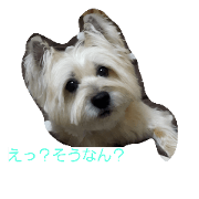 zensta