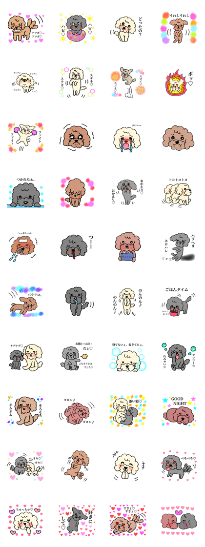 toy poodle (Everyday section)