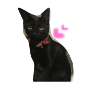 cattakeuchi