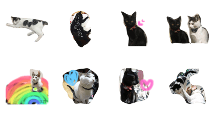 cattakeuchi