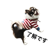 Marosuke kun!