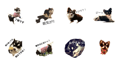 Marosuke kun!