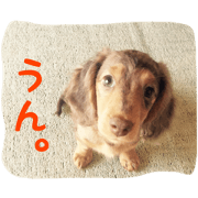 Cha-stamp