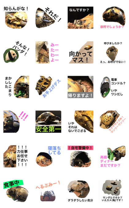 Fukucchi Sticker!