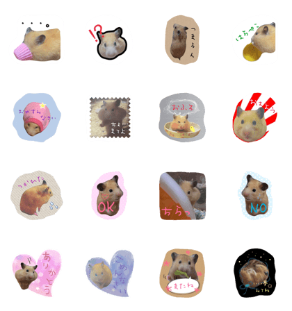 daily humster sticker