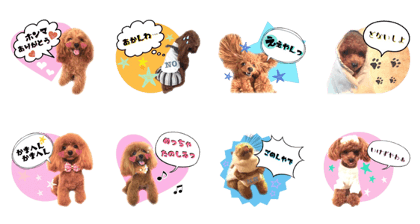 roco.76 sticker