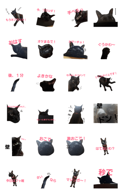 surreal black cat 2