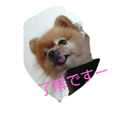 chiwa.pome