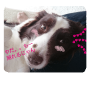 HOKURO's stamp