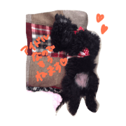 coco & kanako coco & kanako