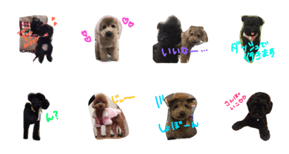 coco & kanako coco & kanako