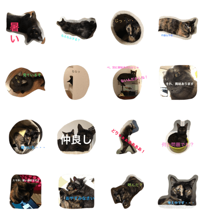 LUKI&HAPI combination