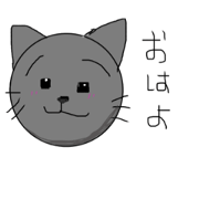 grayCATnyan