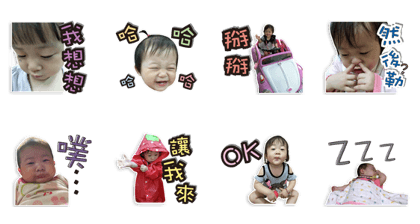 Small sunflower Small sunflower