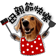 Dachshund GaGa part7(festival) Dachshund GaGa part7(festival)