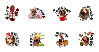 Dachshund GaGa part7(festival) Dachshund GaGa part7(festival)