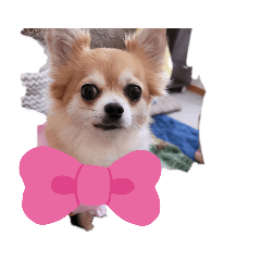 emily_20210408160104