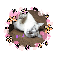 tommy_20210408145004