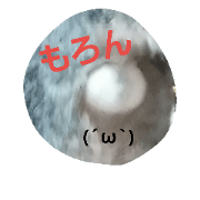 WASABI is Wasabi WASABI is Wasabi