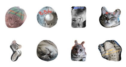 WASABI is Wasabi WASABI is Wasabi