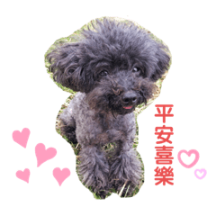 可愛的臭小咪