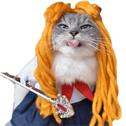 Team ZURUMUKE Team ZURUMUKE