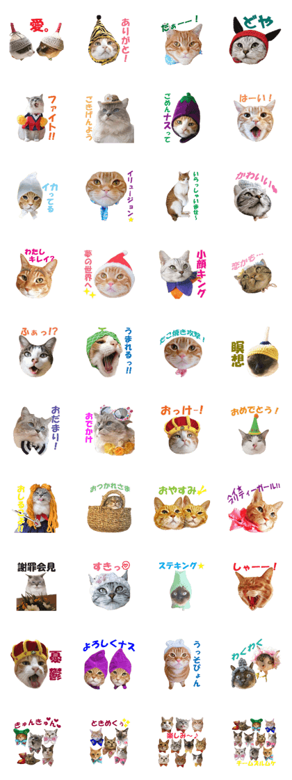 Team ZURUMUKE Team ZURUMUKE