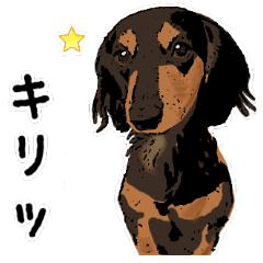 Realistic dog(Frequently used words)