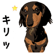Realistic dog(Frequently used words) Realistic dog(Frequently used words)